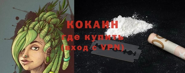 тгк Нея