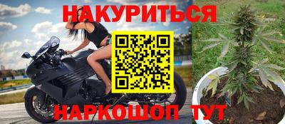 прущий лед Гай