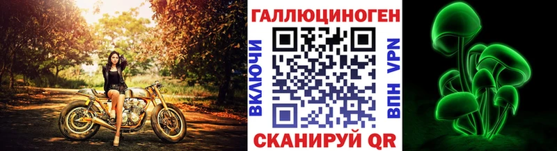 блэк спрут ссылка  наркошоп  Кашира  Псилоцибиновые грибы MAGIC MUSHROOMS 