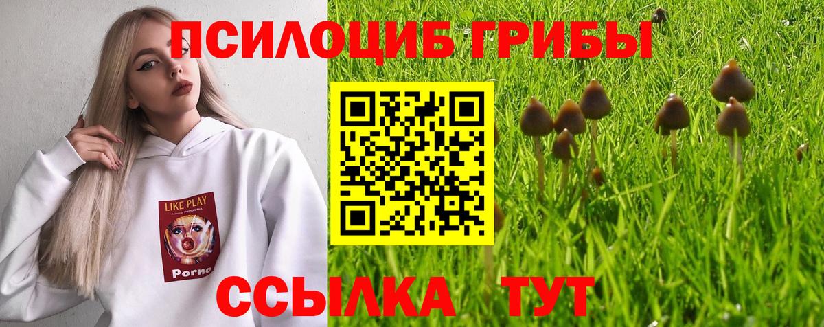 Псилоцибиновые грибы прущие грибы  Вход с VPN  Кашира  купить   Галлюциногенные грибы Magic Shrooms 